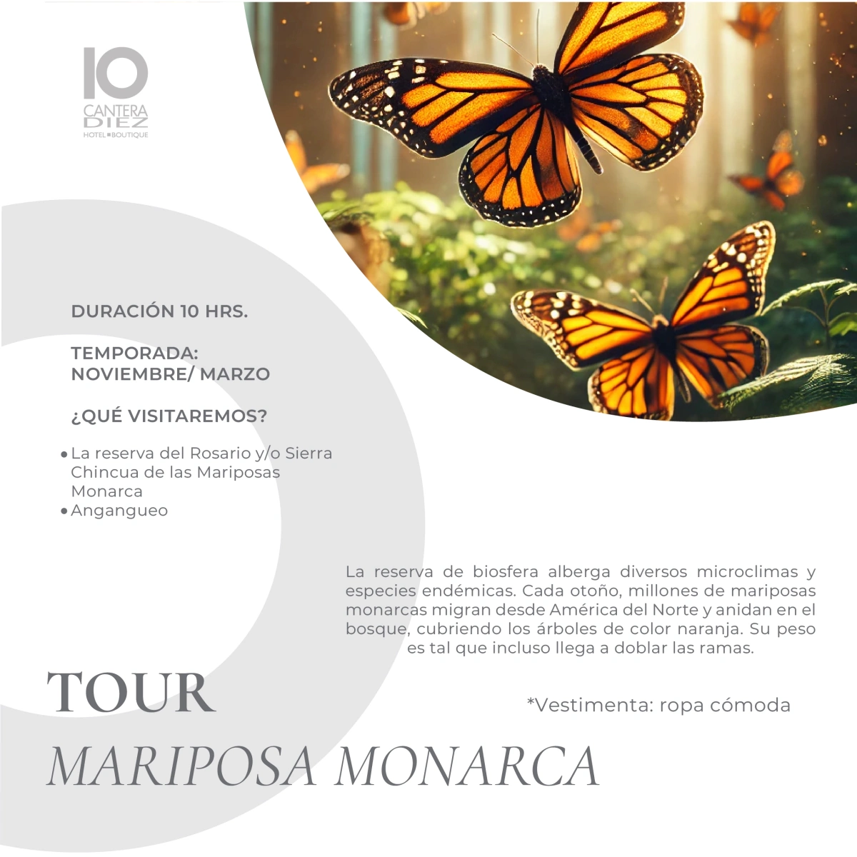 Tour Mariposa Monarca